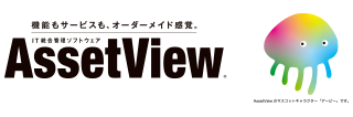AssetView